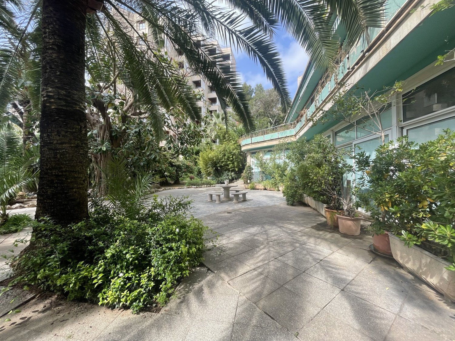 The garden today, as inherited, at the heart of the block